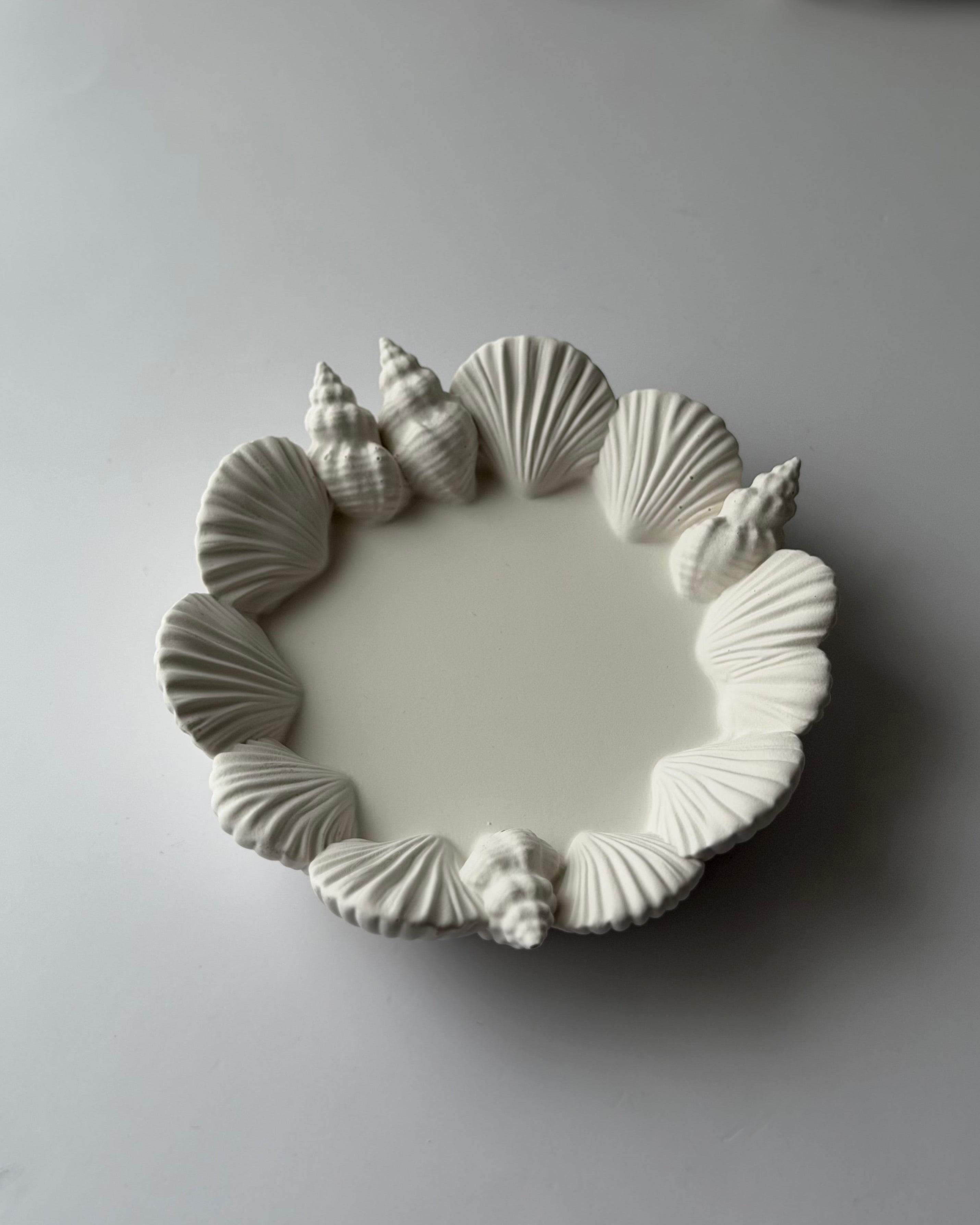 The Ariel decorative shell tray